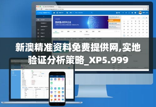 新澳精准资料免费提供网,实地验证分析策略_XP5.999