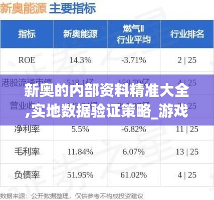 新奥的内部资料精准大全,实地数据验证策略_游戏版8.204