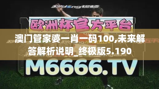 澳门管家婆一肖一码100,未来解答解析说明_终极版5.190