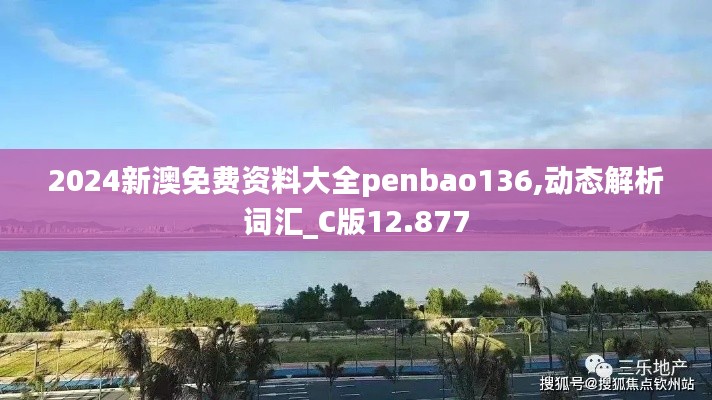 2024新澳免费资料大全penbao136,动态解析词汇_C版12.877