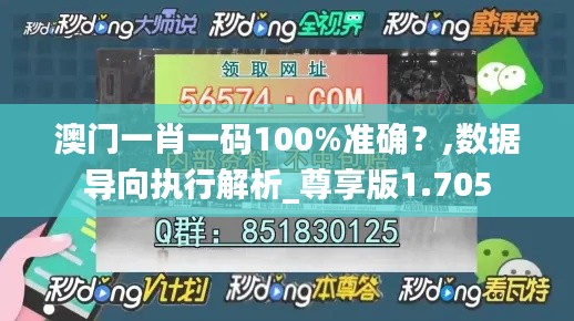 澳门一肖一码100%准确？,数据导向执行解析_尊享版1.705