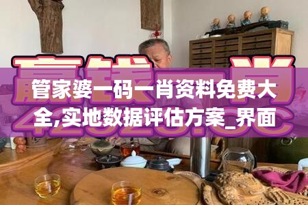 管家婆一码一肖资料免费大全,实地数据评估方案_界面版2.422