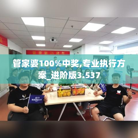 管家婆100%中奖,专业执行方案_进阶版3.537