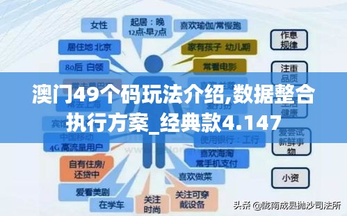 澳门49个码玩法介绍,数据整合执行方案_经典款4.147