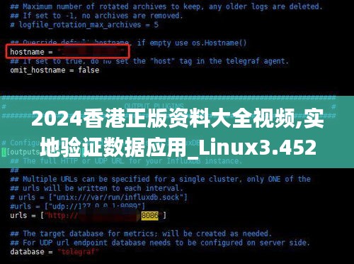 2024香港正版资料大全视频,实地验证数据应用_Linux3.452