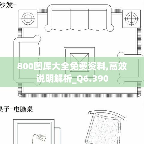 800图库大全免费资料,高效说明解析_Q6.390