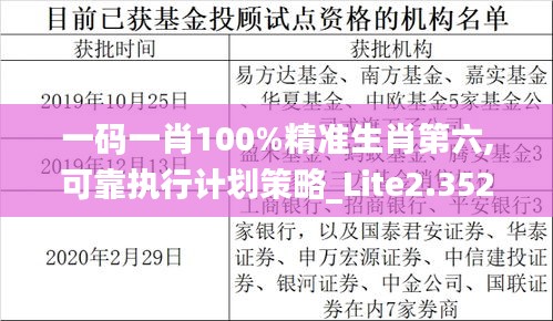 一码一肖100%精准生肖第六,可靠执行计划策略_Lite2.352