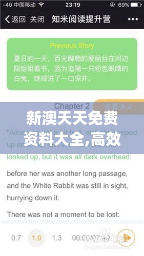 新澳天天免费资料大全,高效实施方法分析_豪华款6.728
