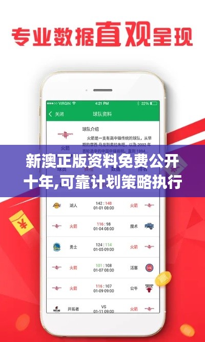 新澳正版资料免费公开十年,可靠计划策略执行_静态版2.767
