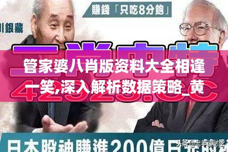 管家婆八肖版资料大全相逢一笑,深入解析数据策略_黄金版4.733