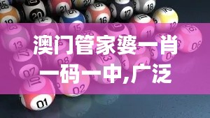 澳门管家婆一肖一码一中,广泛解析方法评估_复古版7.500