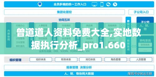 曾道道人资料免费大全,实地数据执行分析_pro1.660