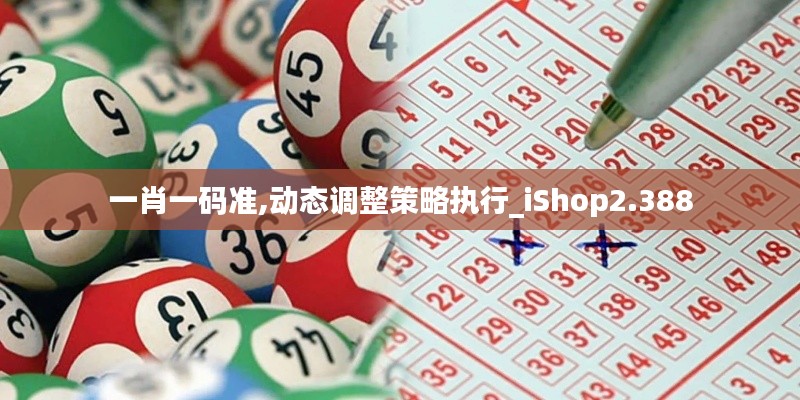 一肖一码准,动态调整策略执行_iShop2.388