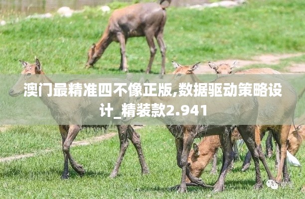 澳门最精准四不像正版,数据驱动策略设计_精装款2.941