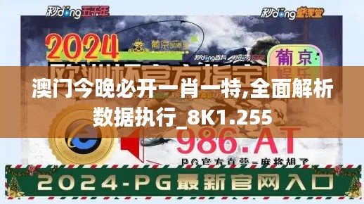 澳门今晚必开一肖一特,全面解析数据执行_8K1.255