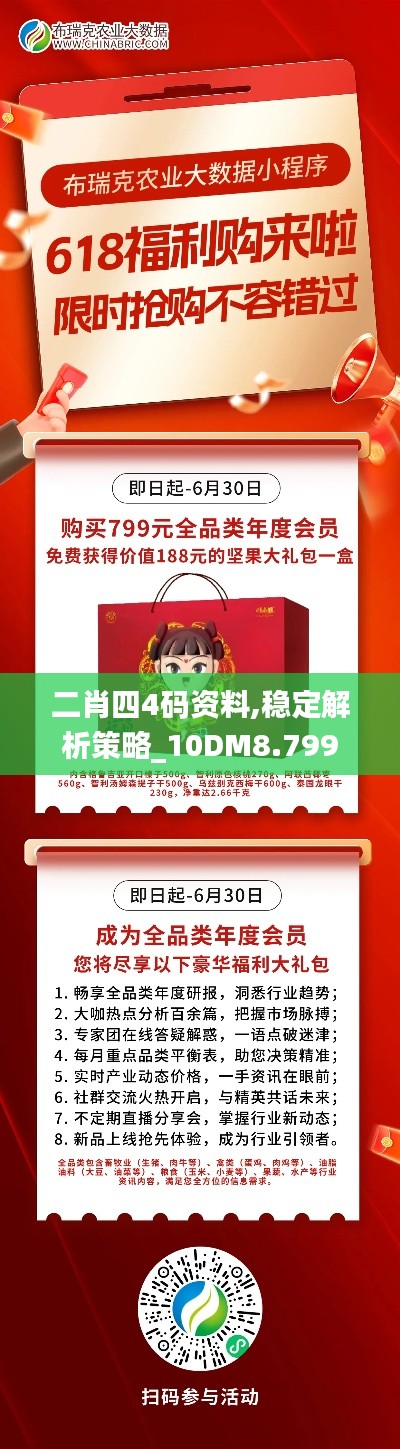 二肖四4码资料,稳定解析策略_10DM8.799