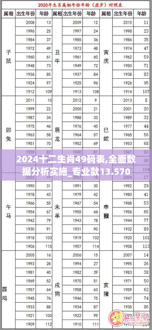 2024十二生肖49码表,全面数据分析实施_专业款13.570