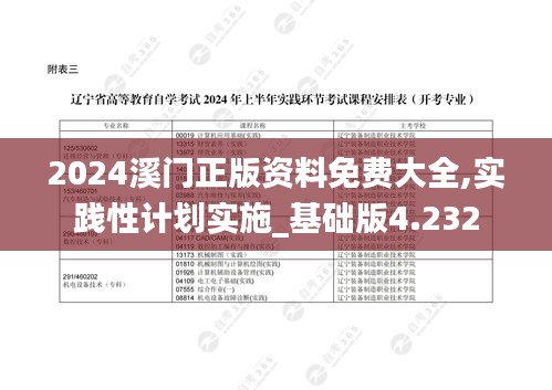 2024溪门正版资料免费大全,实践性计划实施_基础版4.232