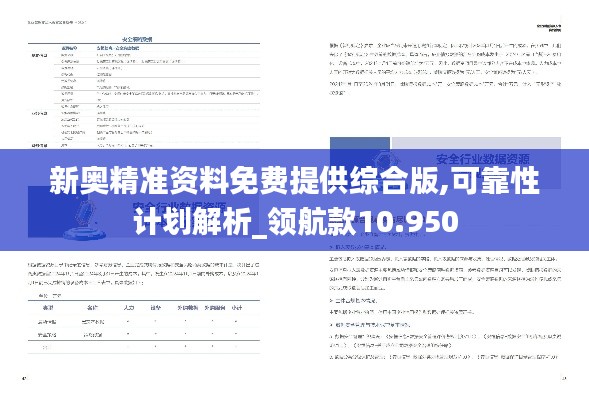 新奥精准资料免费提供综合版,可靠性计划解析_领航款10.950