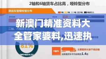 新澳门精准资料大全管家婆料,迅速执行计划设计_OP7.533