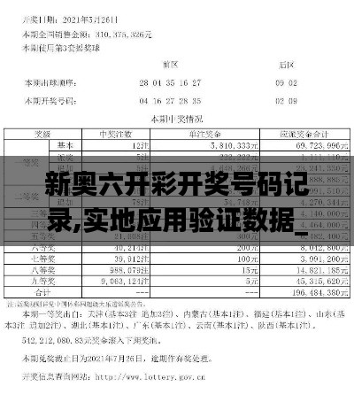 新奥六开彩开奖号码记录,实地应用验证数据_V版9.794
