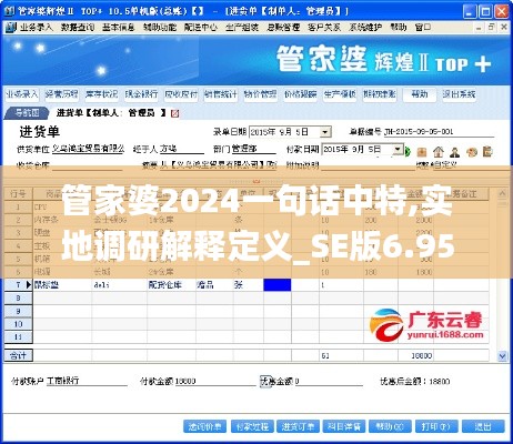 管家婆2024一句话中特,实地调研解释定义_SE版6.955