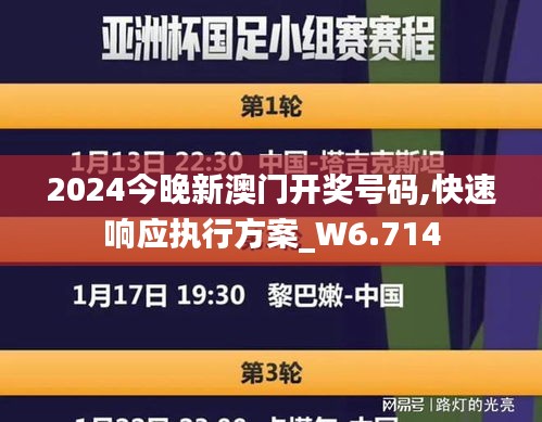 2024今晚新澳门开奖号码,快速响应执行方案_W6.714
