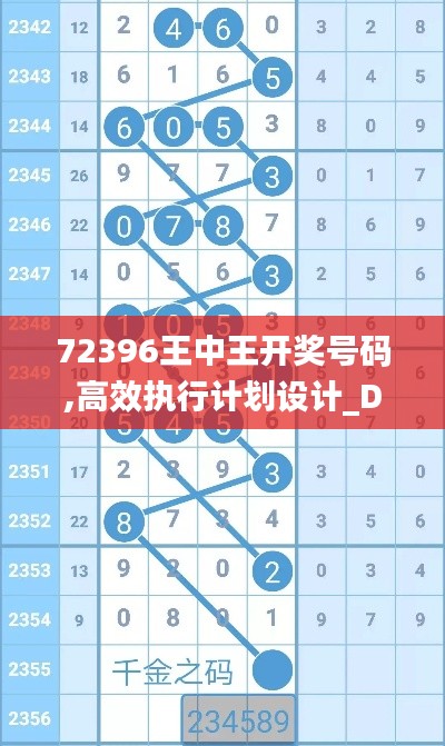72396王中王开奖号码,高效执行计划设计_DX版6.248