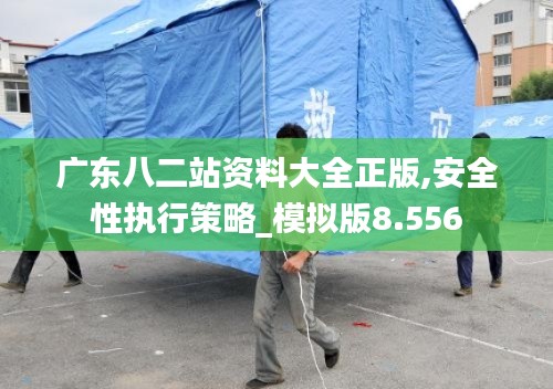 广东八二站资料大全正版,安全性执行策略_模拟版8.556
