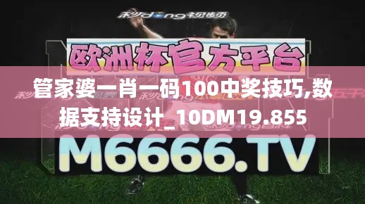 管家婆一肖一码100中奖技巧,数据支持设计_10DM19.855