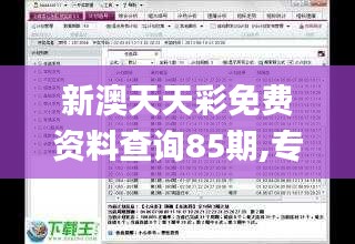 新澳天天彩免费资料查询85期,专家意见解释定义_MR8.429
