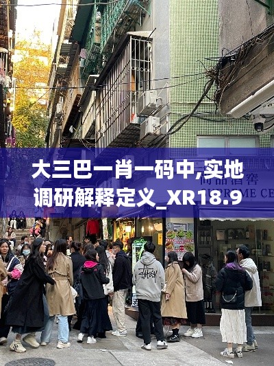 大三巴一肖一码中,实地调研解释定义_XR18.974