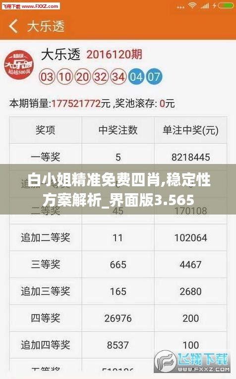 白小姐精准免费四肖,稳定性方案解析_界面版3.565