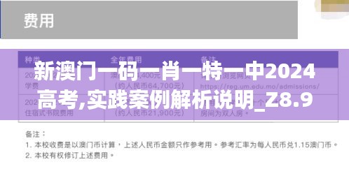 新澳门一码一肖一特一中2024高考,实践案例解析说明_Z8.958