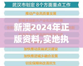 新澳2024年正版资料,实地执行考察方案_创意版3.338