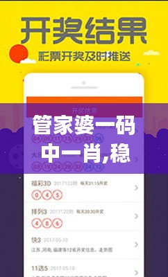 管家婆一码中一肖,稳定计划评估_Pixel13.420