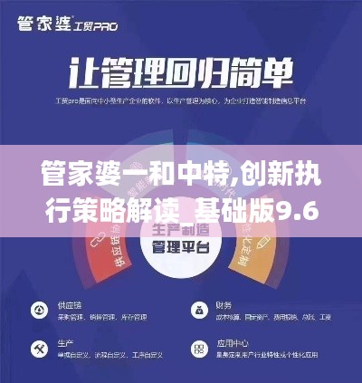 管家婆一和中特,创新执行策略解读_基础版9.695