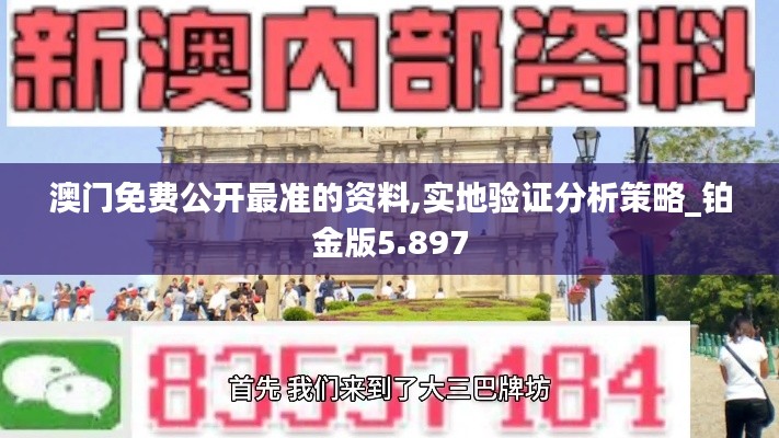 澳门免费公开最准的资料,实地验证分析策略_铂金版5.897