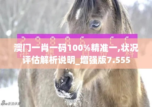 澳门一肖一码100%精准一,状况评估解析说明_增强版7.555