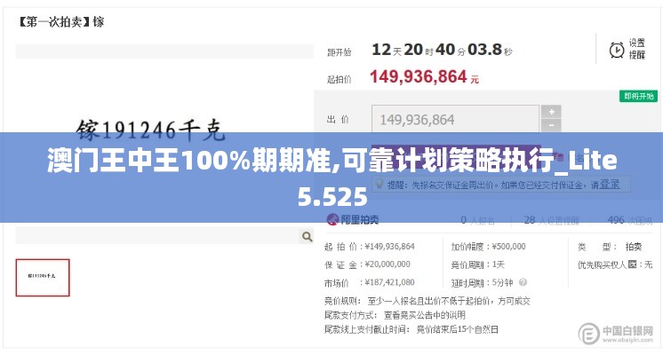 澳门王中王100%期期准,可靠计划策略执行_Lite5.525