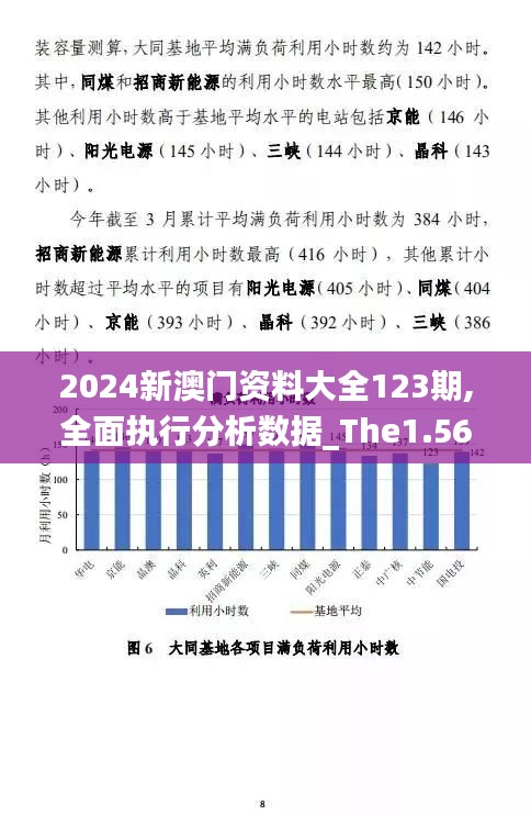 2024新澳门资料大全123期,全面执行分析数据_The1.569