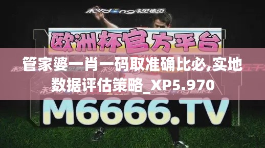管家婆一肖一码取准确比必,实地数据评估策略_XP5.970