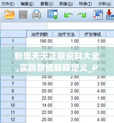 新奥天天正版资料大全,实践数据解释定义_P版3.191