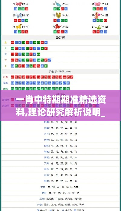 一肖中特期期准精选资料,理论研究解析说明_XE版2.484