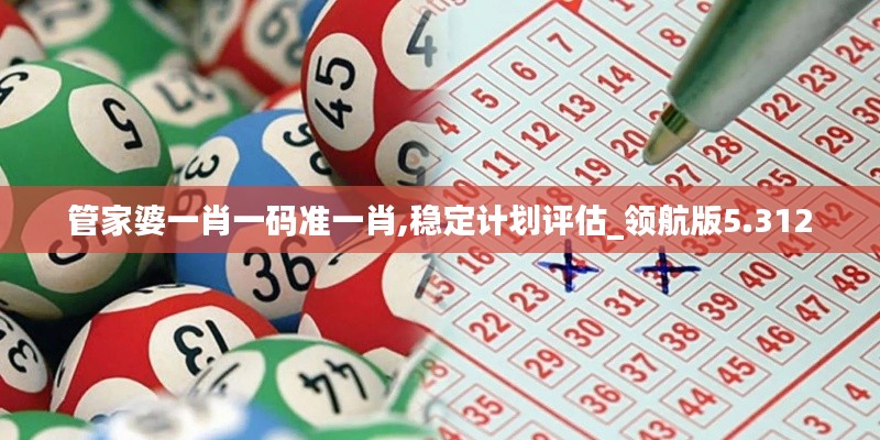 管家婆一肖一码准一肖,稳定计划评估_领航版5.312