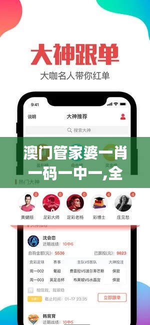 澳门管家婆一肖一码一中一,全面分析说明_VIP3.699