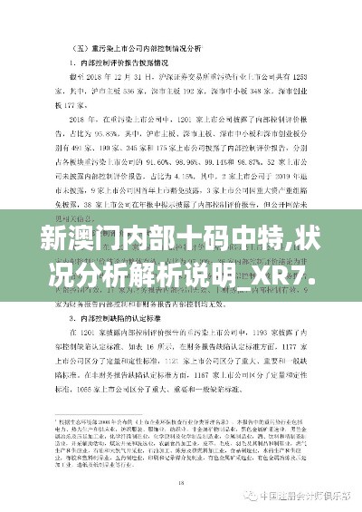 新澳门内部十码中特,状况分析解析说明_XR7.680