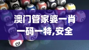 澳门管家婆一肖一码一特,安全性计划解析_策略版4.496