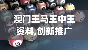 澳门王马王中王资料,创新推广策略_限定版10.216
