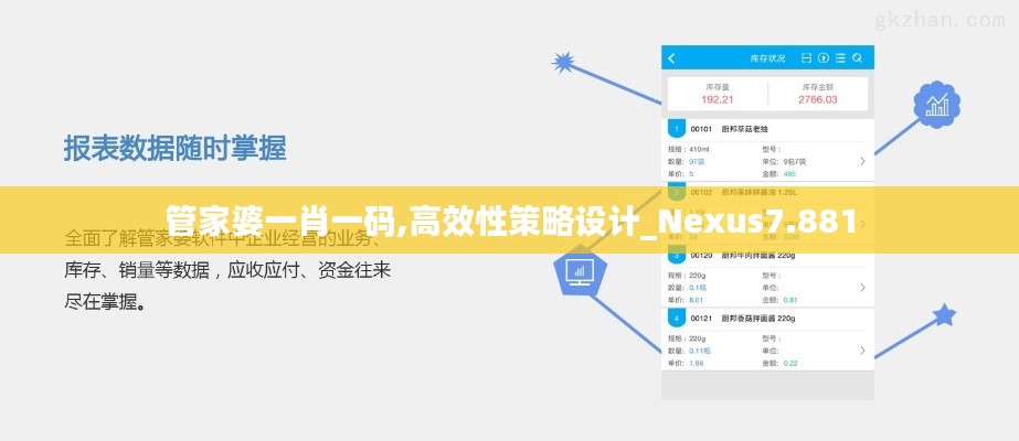 管家婆一肖一码,高效性策略设计_Nexus7.881